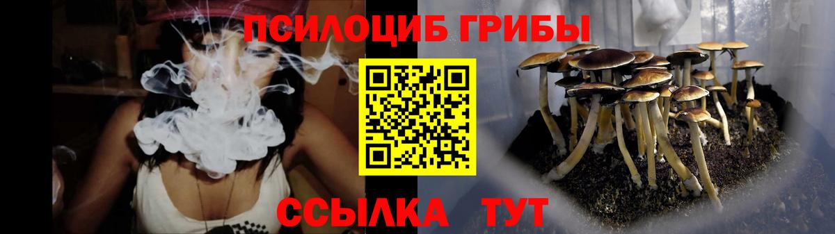 дарнет шоп  Вход с VPN  Галлюциногенные грибы Psilocybe  Астрахань  Псилоцибиновые грибы Psilocybine cubensis 